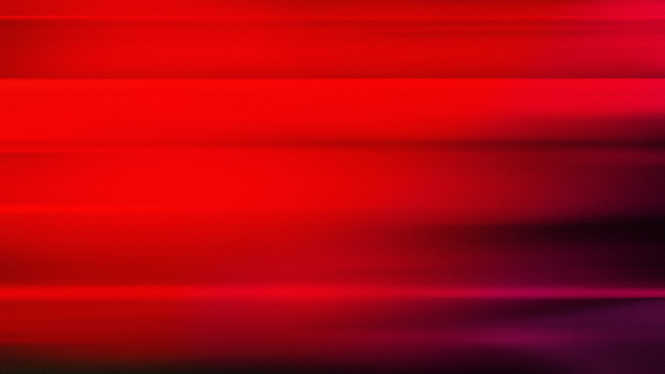 Jaguar Banner